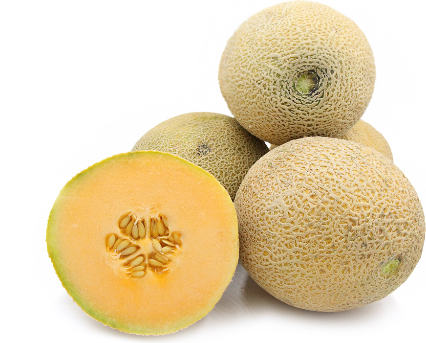 Cantaloupe Melons picture