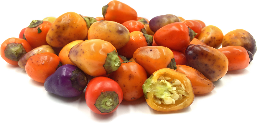 Chinese Five Color Chile Peppers picture