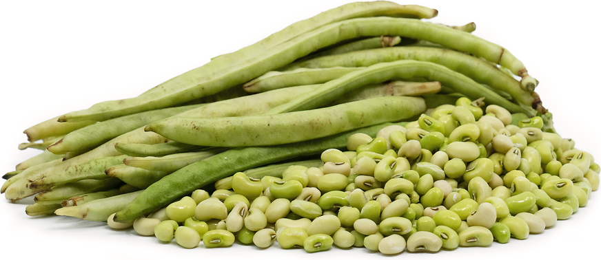 Cream Peas picture