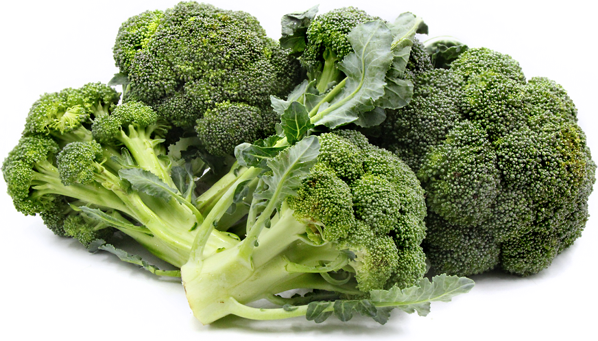 Calabrese Broccoli picture
