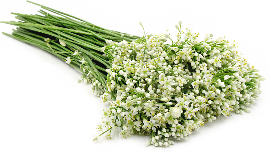 Garlic Chive Blossoms picture