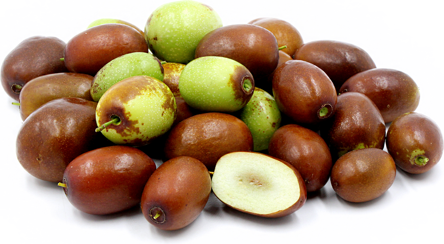 Sherwood Jujube picture