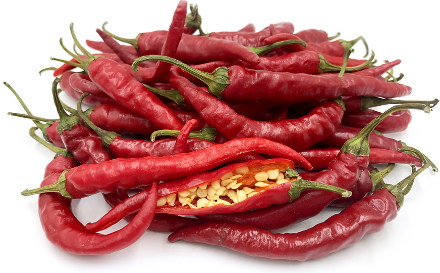 Hot Portugal Chile Peppers picture
