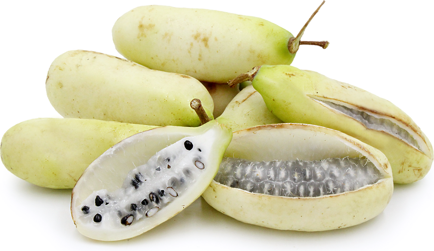 White Akebi Fruit picture