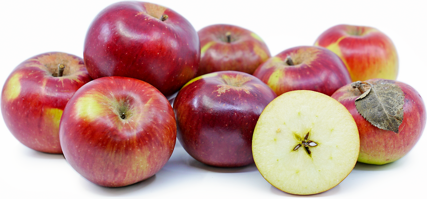 Northern Spy Apples picture