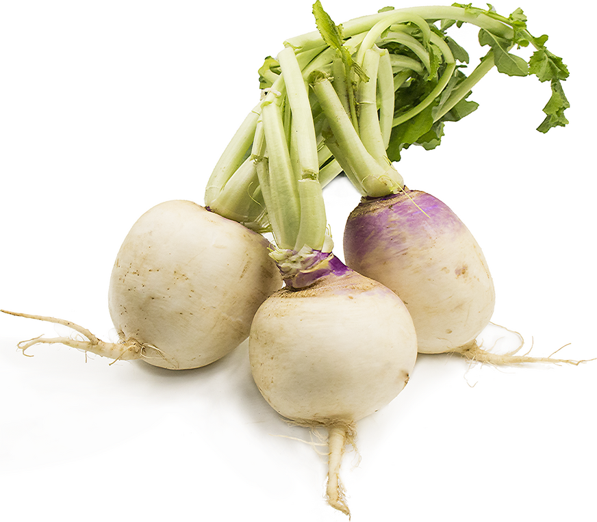 Turnips picture