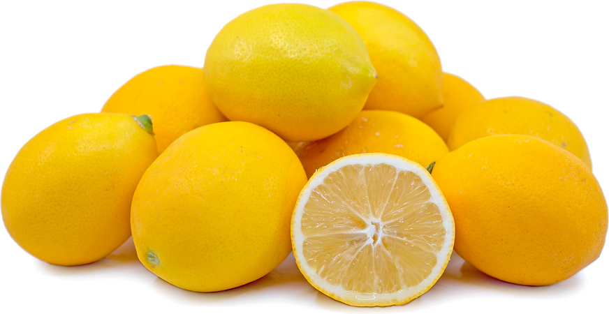 Meyer Lemons picture
