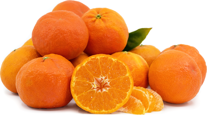 Yosemite Gold Tangerines picture