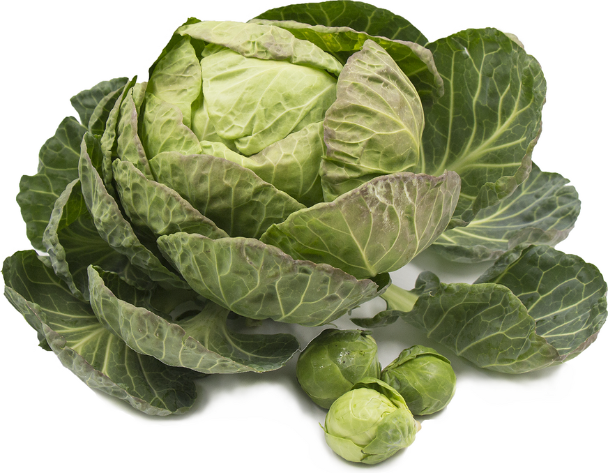 Brussels Sprouts Leaves picture