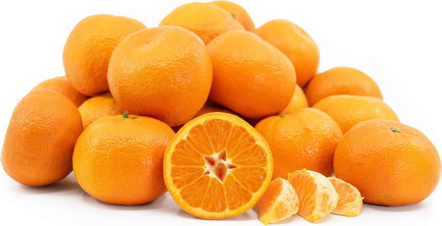 Murcott Tangerines picture
