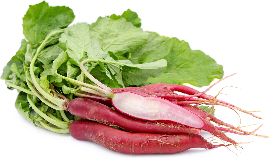 Long Scarlet Radish picture