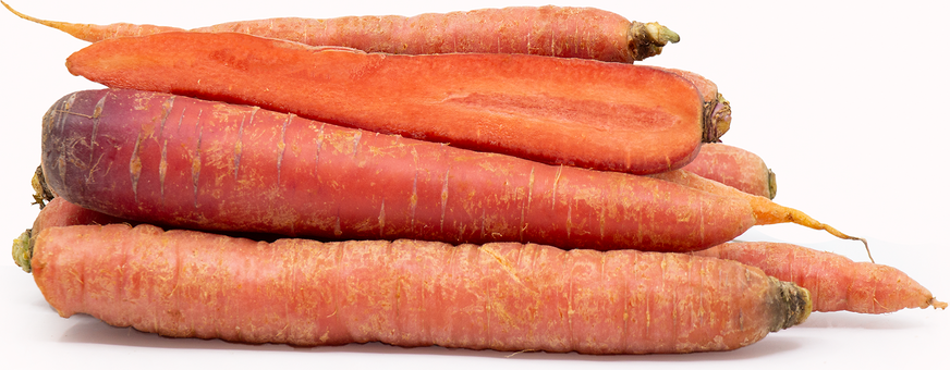 Red Carrots picture