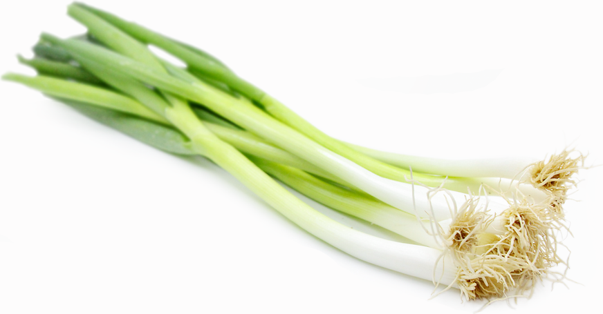 Green Onions picture