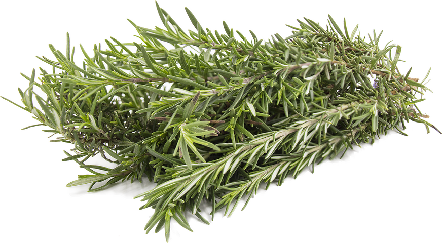 Rosemary picture