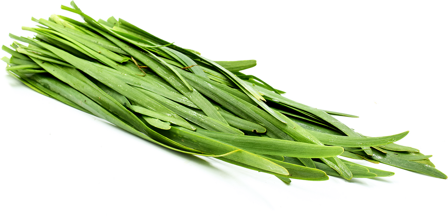 Garlic Chives picture