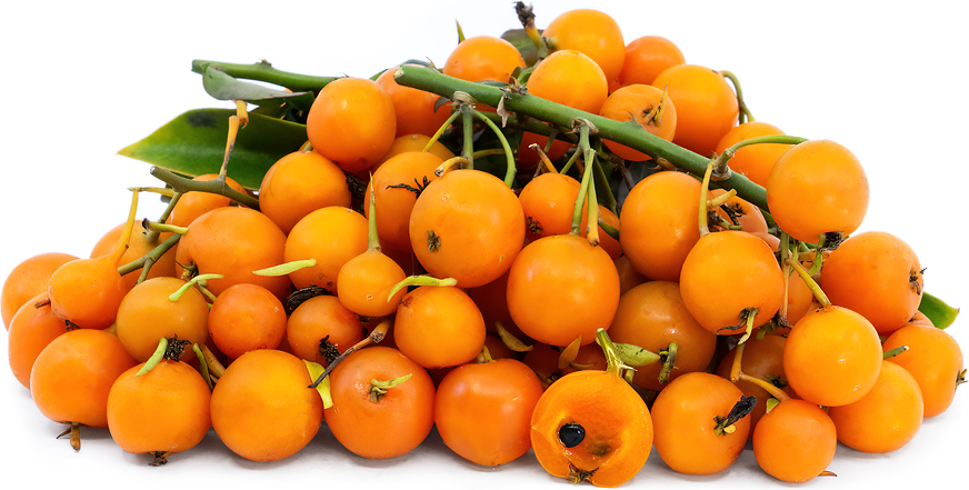 Barbados Gooseberries picture