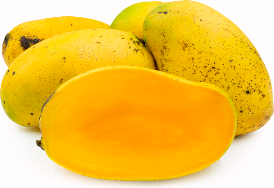 Francine Mangoes picture