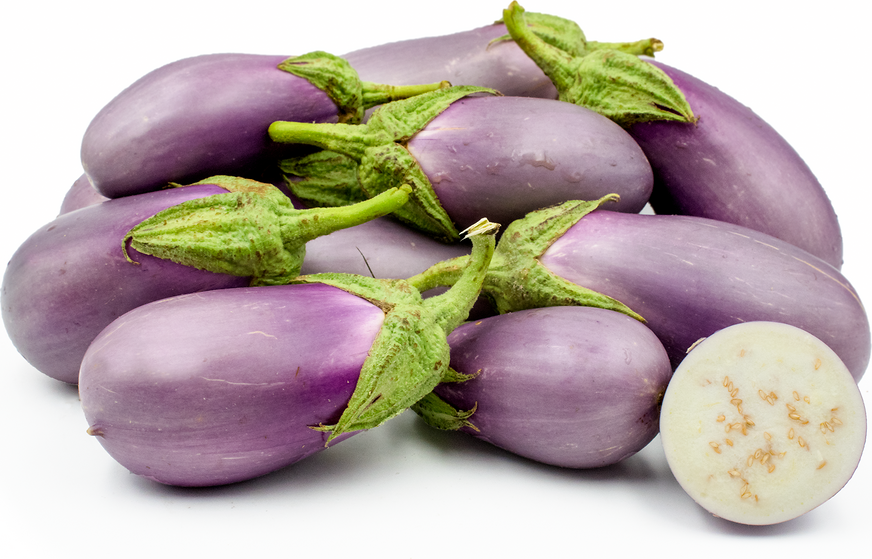 Dancer Eggplant picture