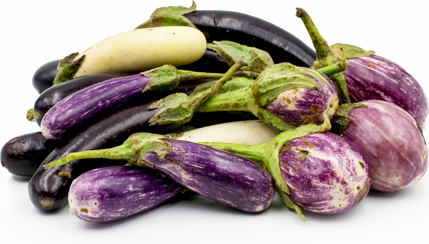 Mixed Heirloom Eggplant picture