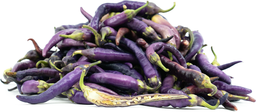 Purple Cayenne Chile Peppers picture
