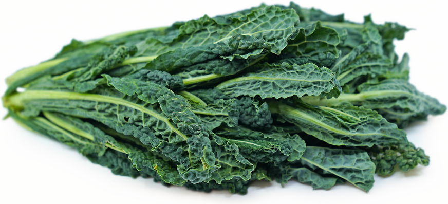 Dino Kale picture