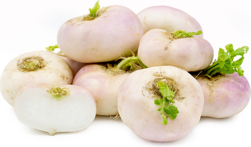 Flat Turnips picture