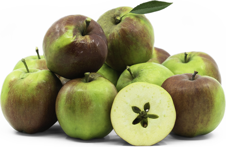 Cornish Gilliflower Apples picture