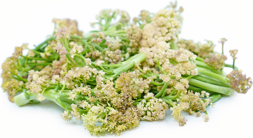 Japanese Sprouting Cauliflower picture