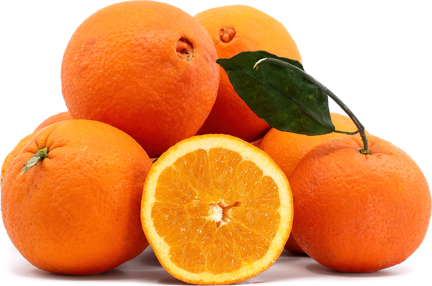Newhall Navel Oranges picture