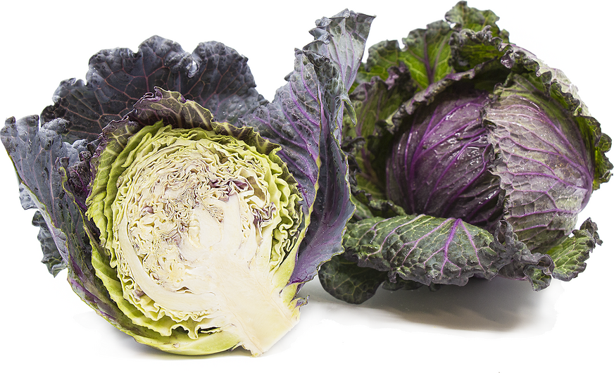 Red Savoy Cabbage picture