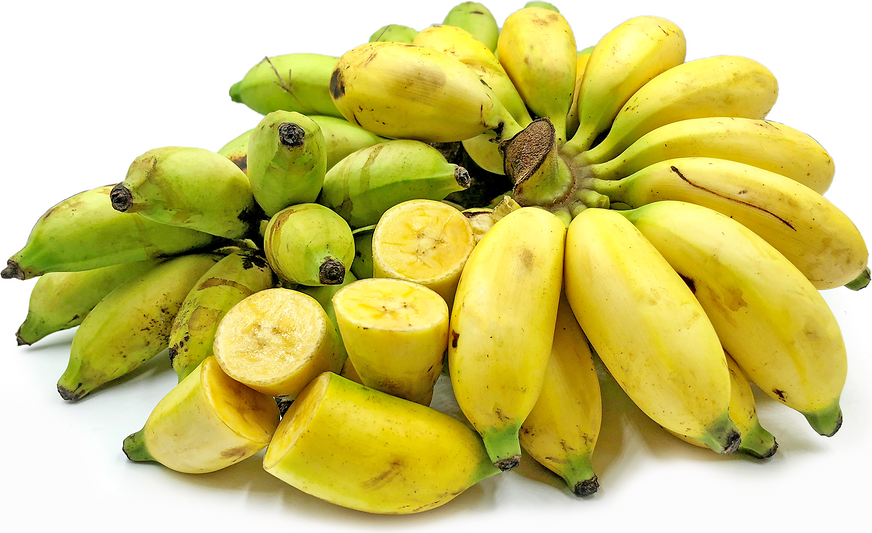  Pisang  Mas Bananas Information Recipes and Facts