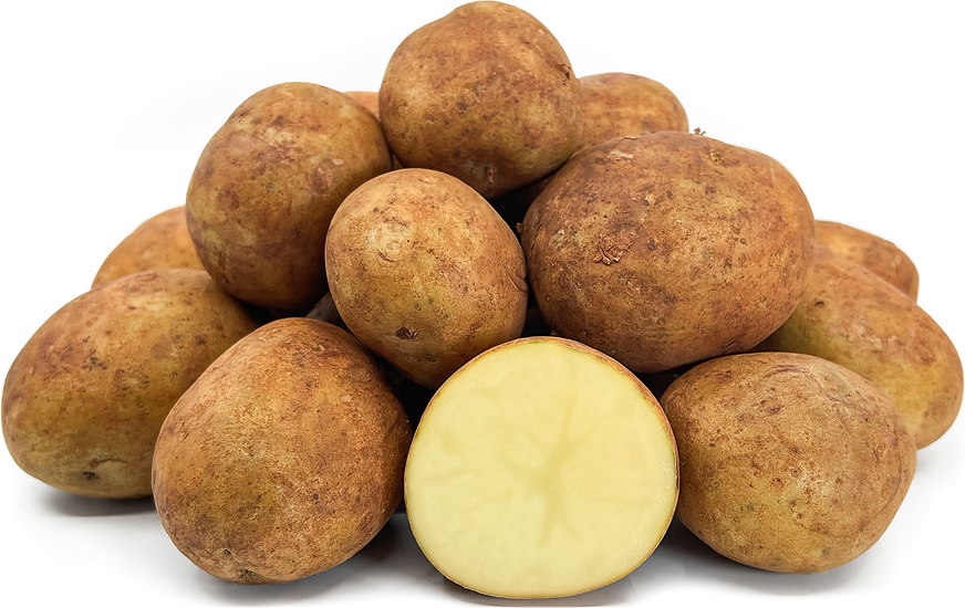 Sebago Potatoes picture