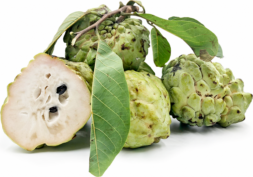 Custard Apples (Austrailian) picture