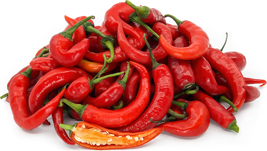 Red Spur Chile Peppers picture