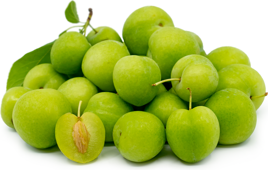 Armenian Green Plums picture