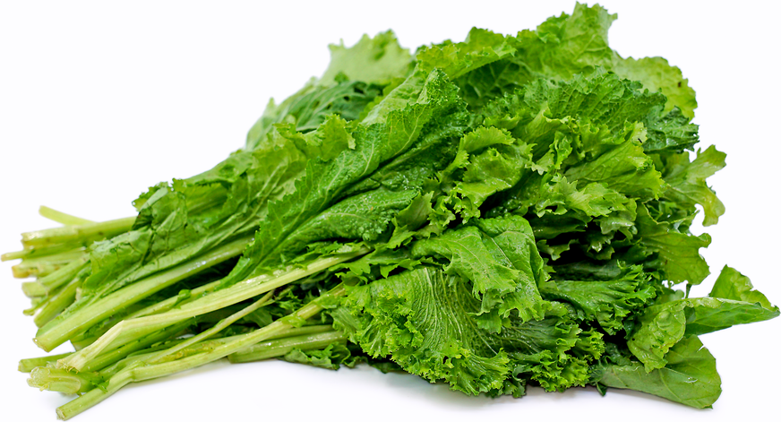 Mustard Greens picture