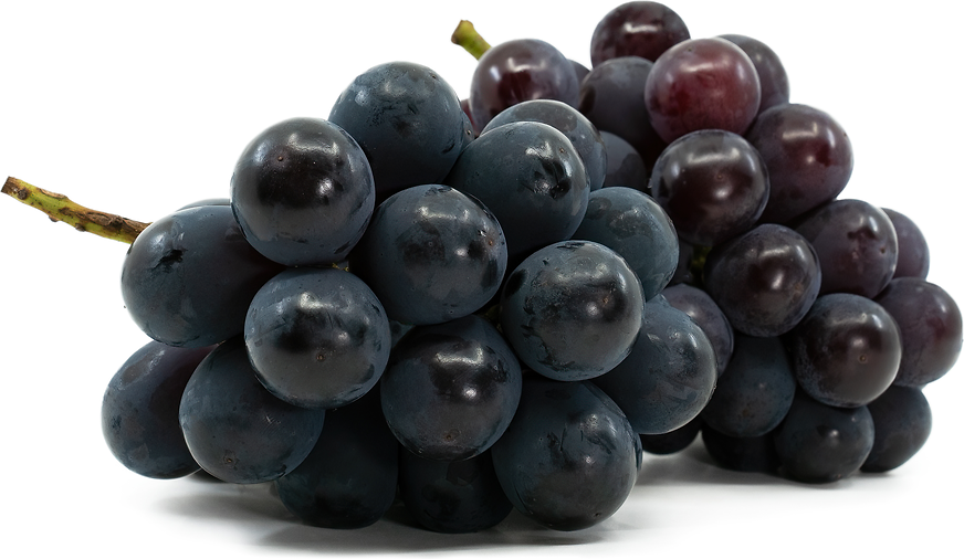 Pione Grapes picture