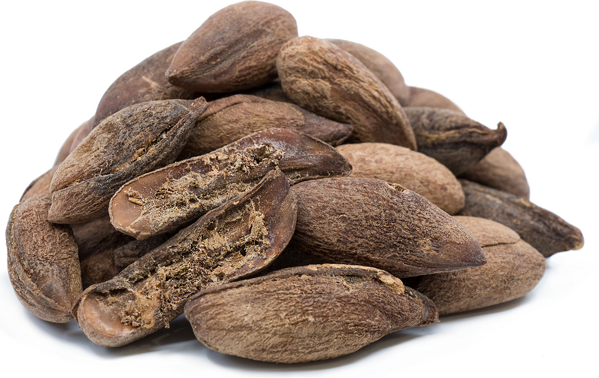 Mamey Sapote Seeds picture