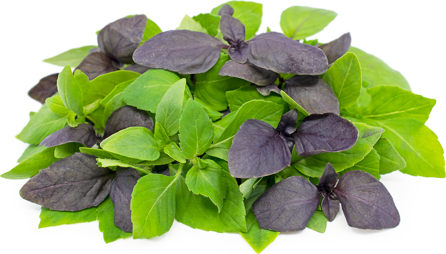 Petite Basil Mix™ picture