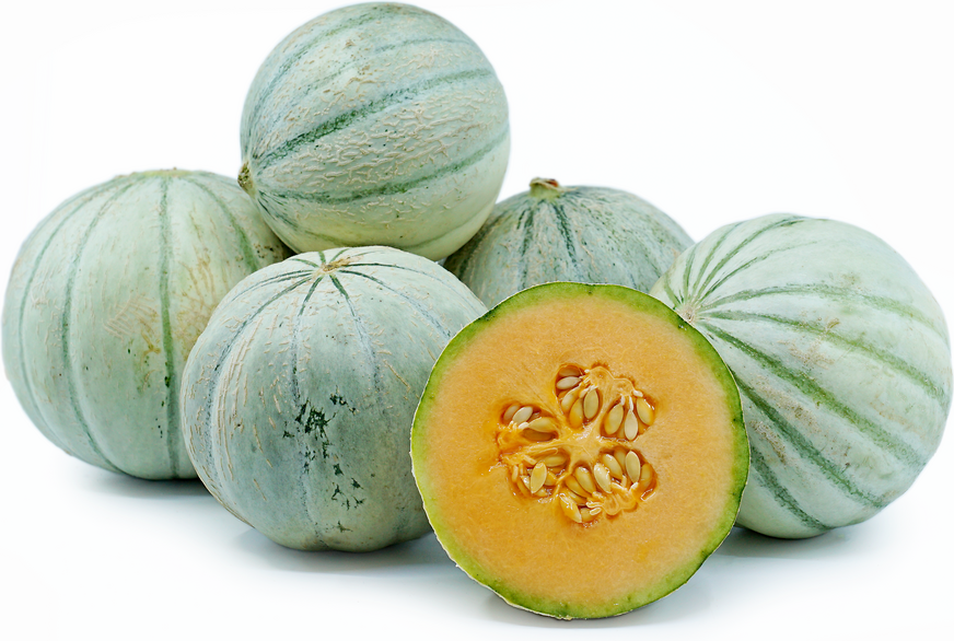 Savor Melon picture