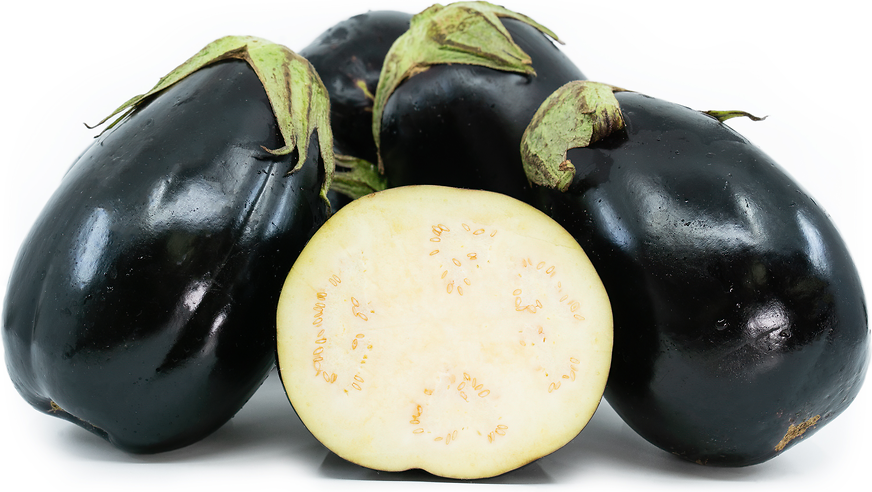 American Eggplant Information and Facts