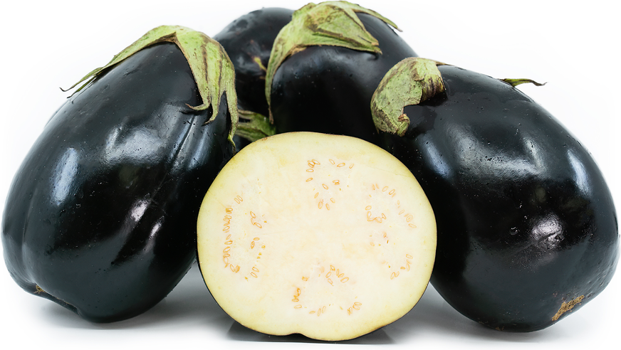 American Eggplant picture