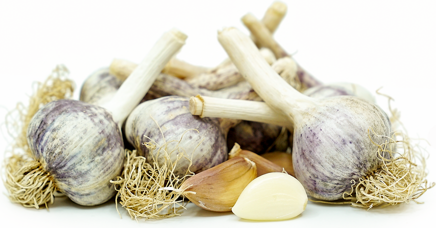 Siberian Garlic picture