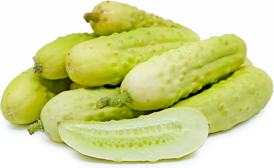 Martini Cucumbers picture