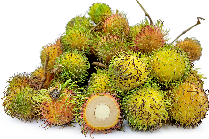  Rapiah  Rambutan  Information Recipes and Facts