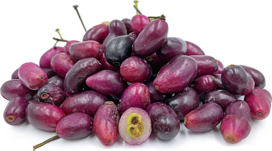 Purple Jamblang Fruit picture