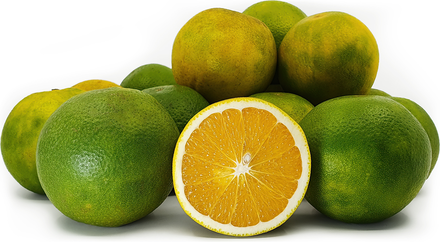 Baby Jeruk Pacitan Oranges Information and Facts
