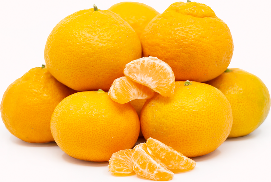 Satsuma Tangerines picture