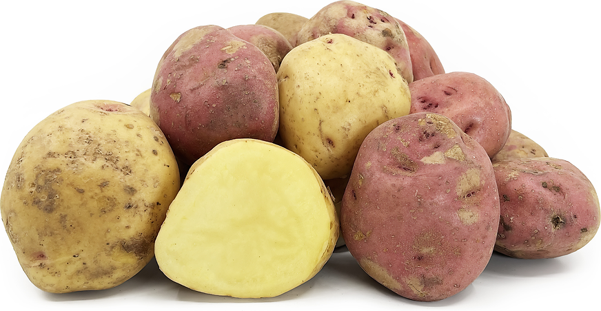 Blanca Potatoes picture