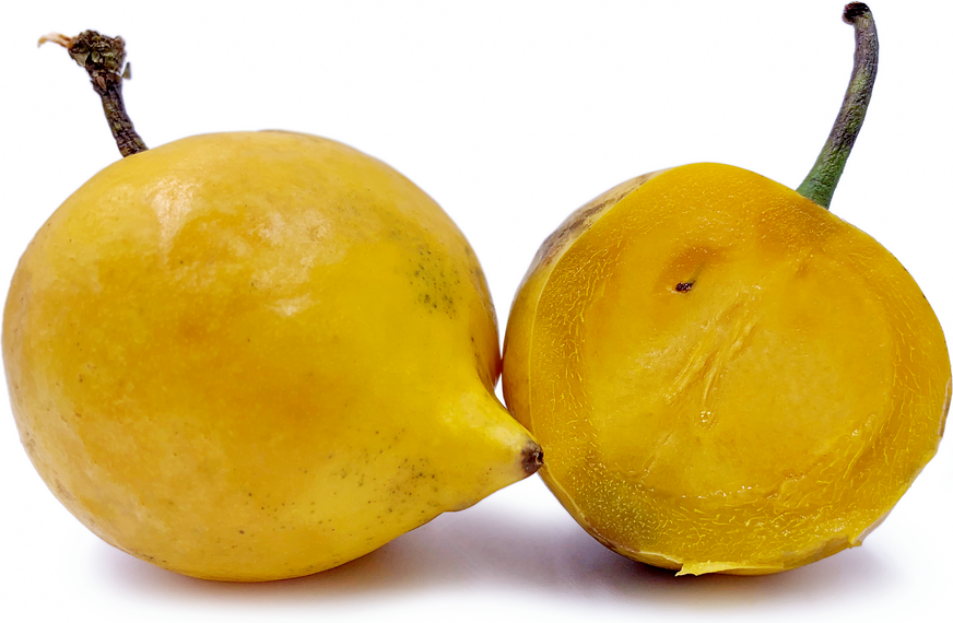 Gamboge Fruit picture